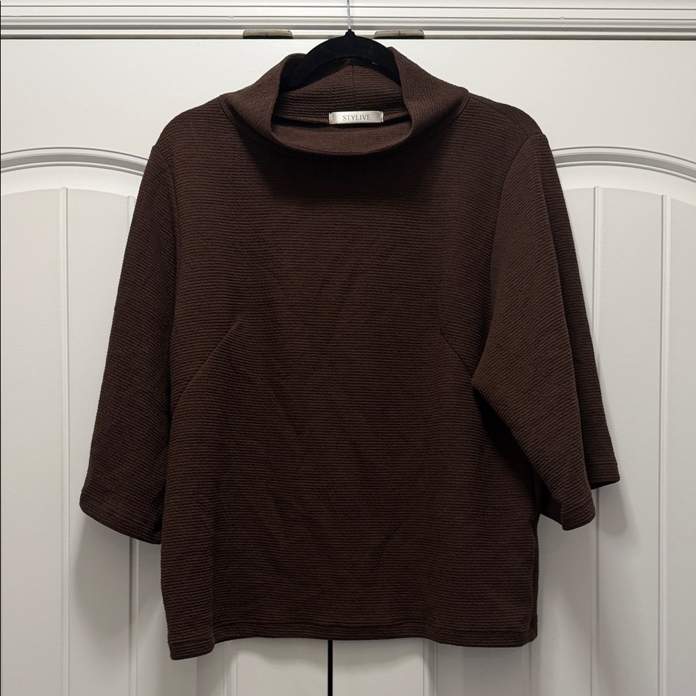 Stylus Women's Brown Cowl Neck Sweater